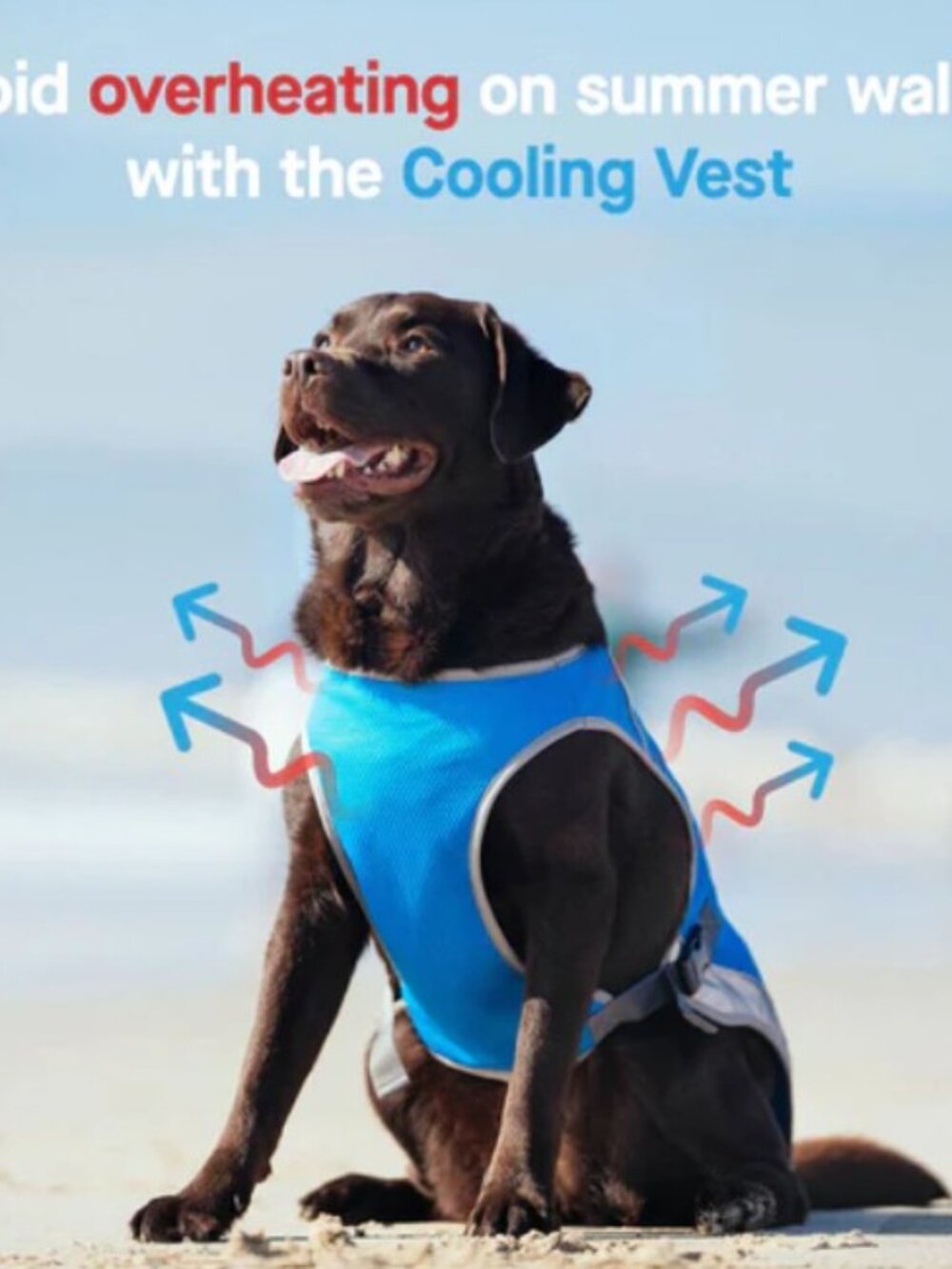 Dog cooling jacket - Picture 11 of 11
